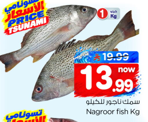 available at نستو in مملكة العربية السعودية, السعودية, سعودية - الخرج