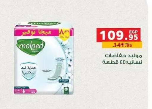available at Panda  in Egypt - Cairo