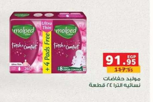 available at Panda  in Egypt - Cairo