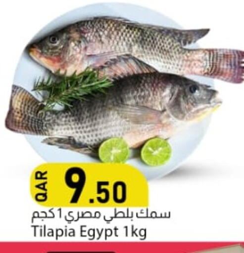 متوفر لدى دانا ماركت في قطر - أم صلال
