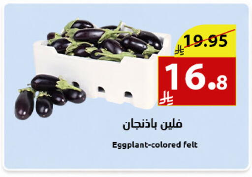 Eggplant available at Abyati Stores in KSA, Saudi Arabia, Saudi - Medina
