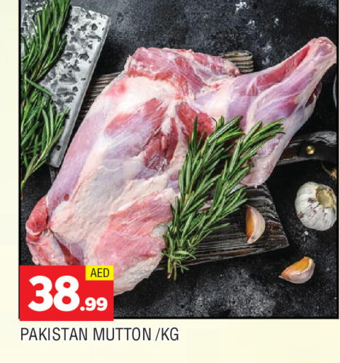 available at المدينة in الإمارات العربية المتحدة , الامارات - الشارقة / عجمان