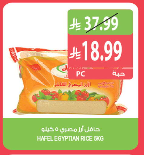 available at Farm  in KSA, Saudi Arabia, Saudi - Tabuk