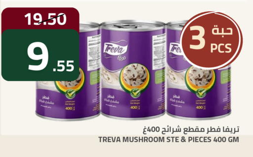 Mushroom available at أسواق أسترا in مملكة العربية السعودية, السعودية, سعودية - تبوك