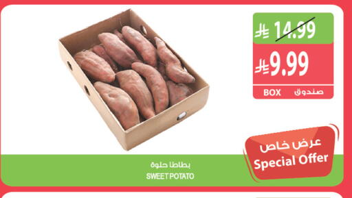 Sweet Potato available at المزرعة in مملكة العربية السعودية, السعودية, سعودية - سكاكا