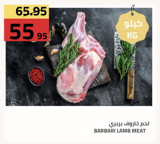 available at أسواق أسترا in مملكة العربية السعودية, السعودية, سعودية - تبوك