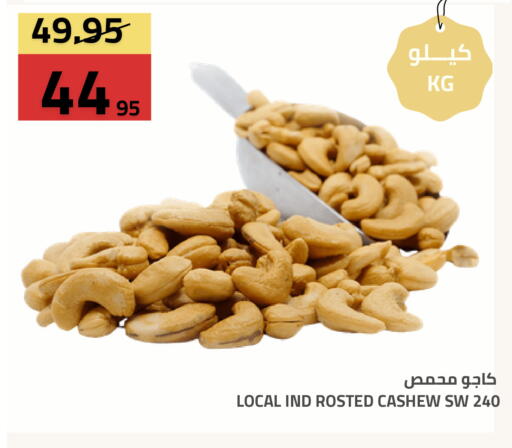 available at أسواق أسترا in مملكة العربية السعودية, السعودية, سعودية - تبوك