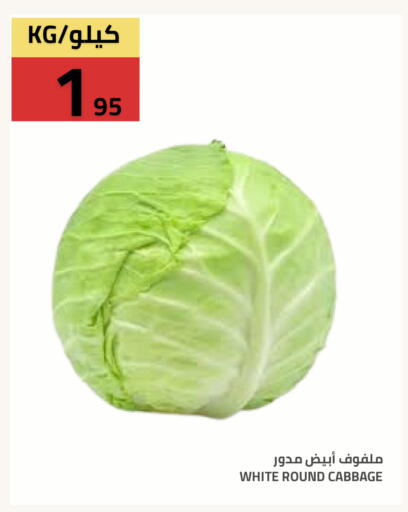 Cabbage available at Astra Markets in KSA, Saudi Arabia, Saudi - Tabuk