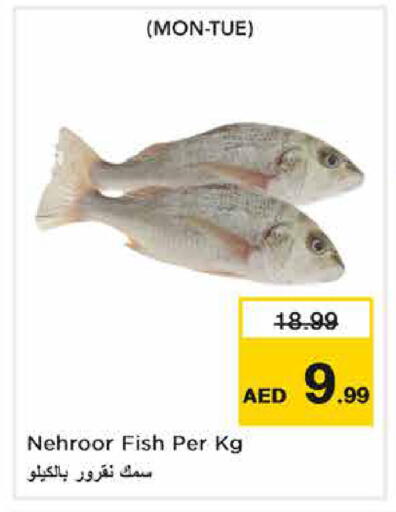 available at Nesto Hypermarket in UAE - Sharjah / Ajman