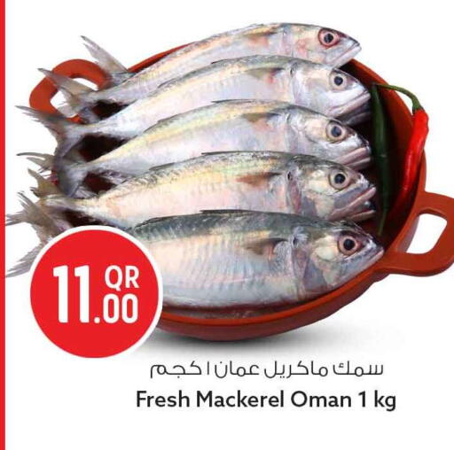 available at سفاري هايبر ماركت in قطر - الدوحة