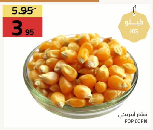 available at أسواق أسترا in مملكة العربية السعودية, السعودية, سعودية - تبوك