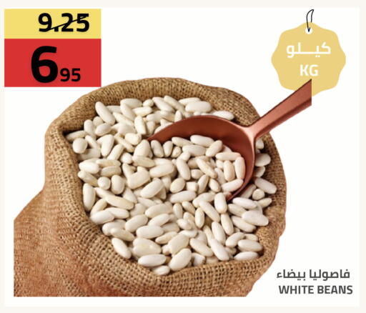 available at أسواق أسترا in مملكة العربية السعودية, السعودية, سعودية - تبوك