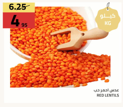 available at أسواق أسترا in مملكة العربية السعودية, السعودية, سعودية - تبوك