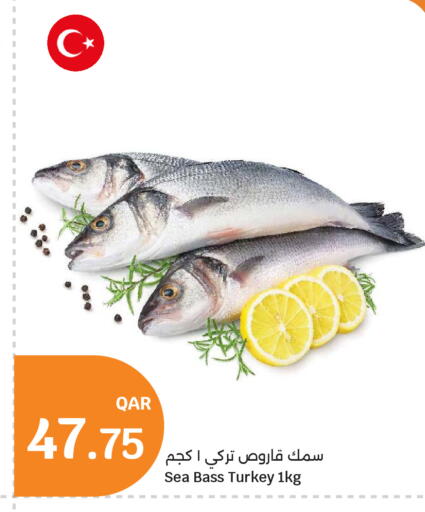 available at City Hypermarket in Qatar - Al Shamal