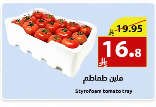 Tomato available at Abyati Stores in KSA, Saudi Arabia, Saudi - Medina