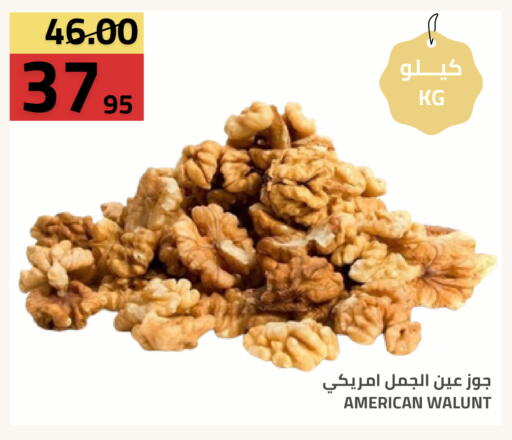 available at أسواق أسترا in مملكة العربية السعودية, السعودية, سعودية - تبوك