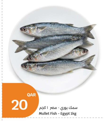 available at City Hypermarket in Qatar - Al Daayen