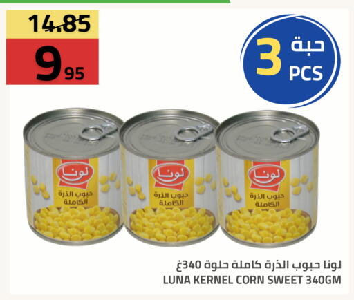 available at أسواق أسترا in مملكة العربية السعودية, السعودية, سعودية - تبوك