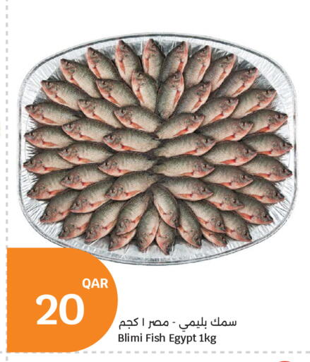 available at City Hypermarket in Qatar - Doha