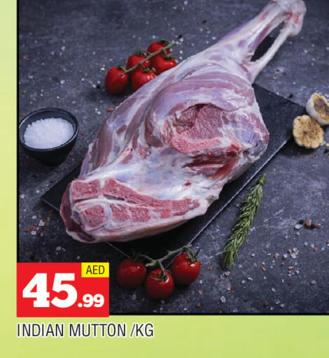 available at المدينة in الإمارات العربية المتحدة , الامارات - الشارقة / عجمان
