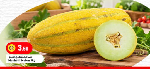 Melon available at Marza Hypermarket in Qatar - Doha