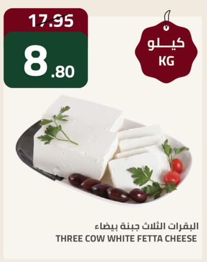available at Astra Markets in KSA, Saudi Arabia, Saudi - Tabuk
