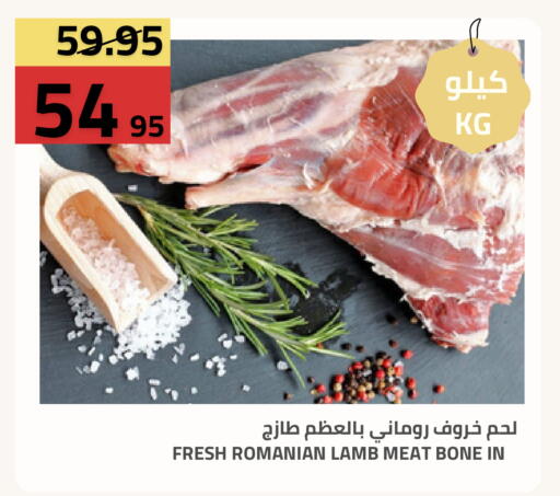 available at أسواق أسترا in مملكة العربية السعودية, السعودية, سعودية - تبوك