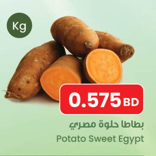 Potato from Egypt available at مركز سلطان in البحرين