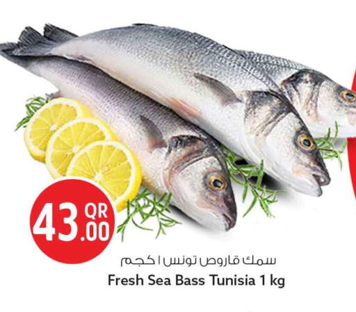 available at سفاري هايبر ماركت in قطر - الدوحة