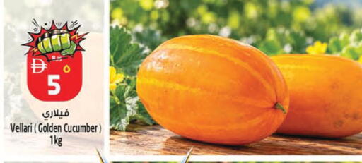 Cucumber available at SAFARI HYPERMARKET  in UAE - Ras al Khaimah