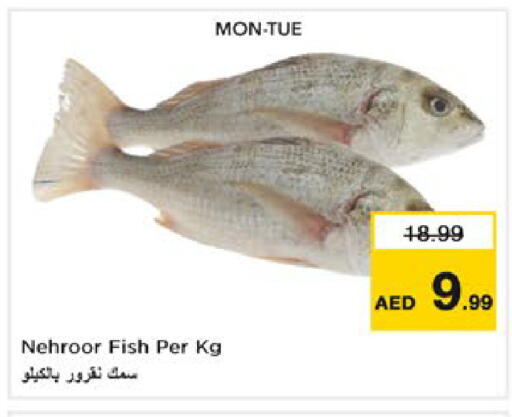 available at نستو هايبرماركت in الإمارات العربية المتحدة , الامارات - رَأْس ٱلْخَيْمَة