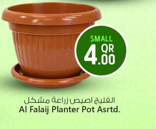 available at سفاري هايبر ماركت in قطر - الخور