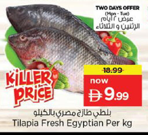 available at نستو هايبرماركت in الإمارات العربية المتحدة , الامارات - رَأْس ٱلْخَيْمَة