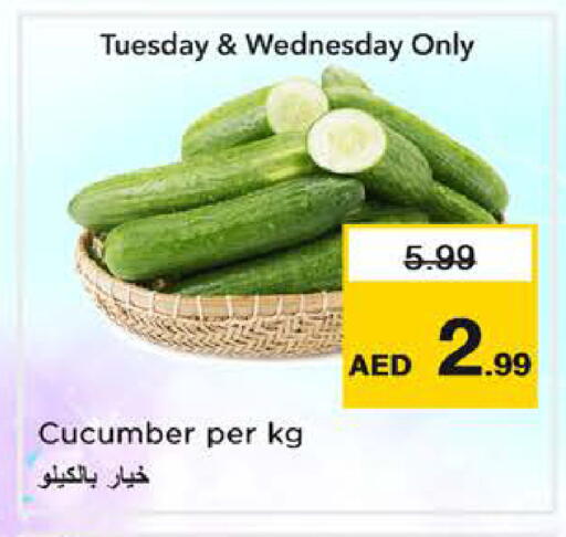 Cucumber available at Nesto Hypermarket in UAE - Sharjah / Ajman