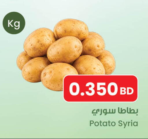 Potato from Syria available at مركز سلطان in البحرين