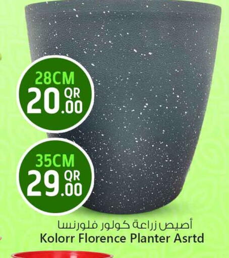 متوفر لدى سفاري هايبر ماركت في قطر - أم صلال