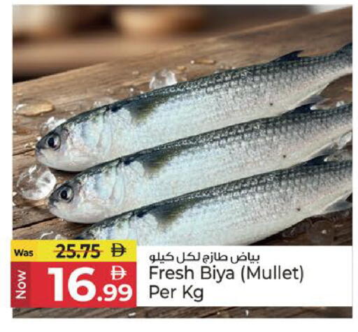 available at Kenz Hypermarket in UAE - Sharjah / Ajman