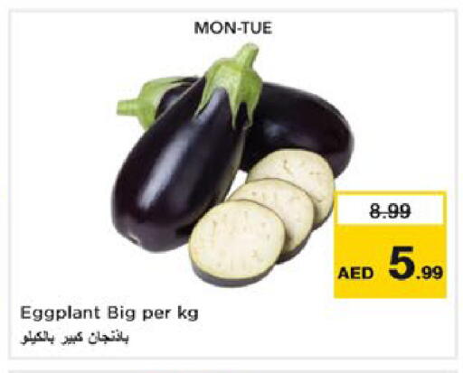 Eggplant available at نستو هايبرماركت in الإمارات العربية المتحدة , الامارات - رَأْس ٱلْخَيْمَة