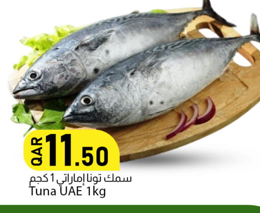 available at دانا ماركت in قطر - الضعاين