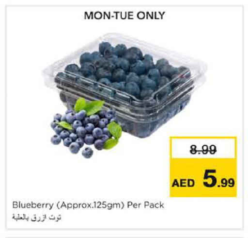 Blueberry BlueBerry available at Nesto Hypermarket in UAE - Sharjah / Ajman