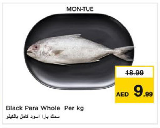 available at نستو هايبرماركت in الإمارات العربية المتحدة , الامارات - رَأْس ٱلْخَيْمَة