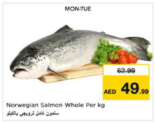 available at نستو هايبرماركت in الإمارات العربية المتحدة , الامارات - رَأْس ٱلْخَيْمَة