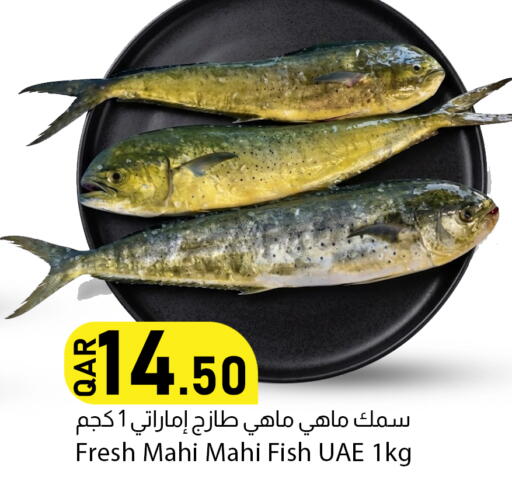 available at دانا ماركت in قطر - الشمال
