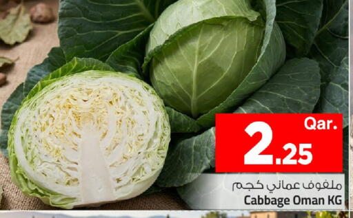 Cabbage from Oman available at Mark & Save  in Qatar - Al Shamal