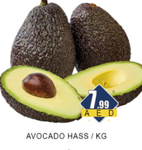 Avocado available at لكي سنتر in الإمارات العربية المتحدة , الامارات - الشارقة / عجمان