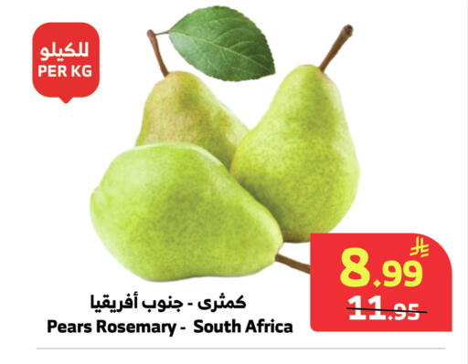 Rosemary from South Africa available at Al Raya in KSA, Saudi Arabia, Saudi - Abha