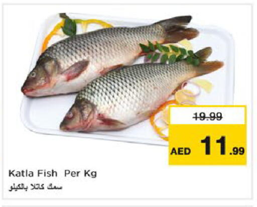 available at نستو هايبرماركت in الإمارات العربية المتحدة , الامارات - رَأْس ٱلْخَيْمَة