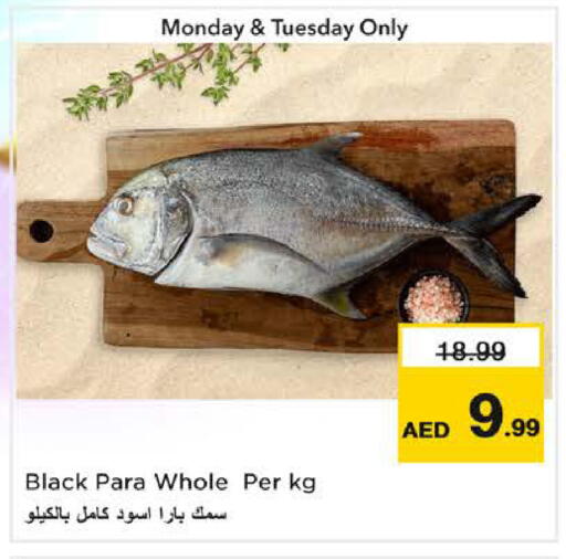 available at Nesto Hypermarket in UAE - Sharjah / Ajman