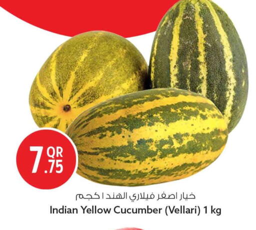 Cucumber from India available at Safari Hypermarket in Qatar - Al Wakra