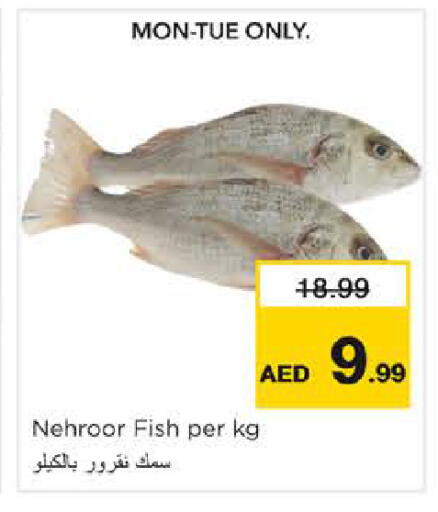 available at Nesto Hypermarket in UAE - Sharjah / Ajman